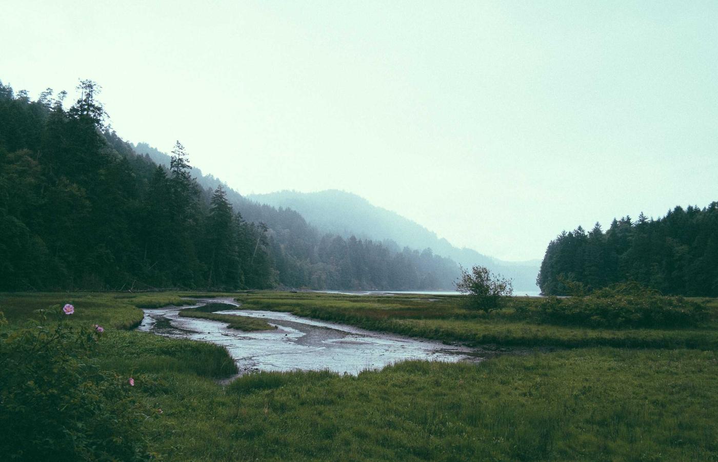 Утечки энергии для предпринимателя: быстрое восстановление когда много задач